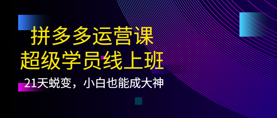 拼多多运营课：超级学员线上班，21天蜕变，小白也能成大神创富副业网-网创项目资源站-副业项目-创业项目-搞钱项目创富副业网