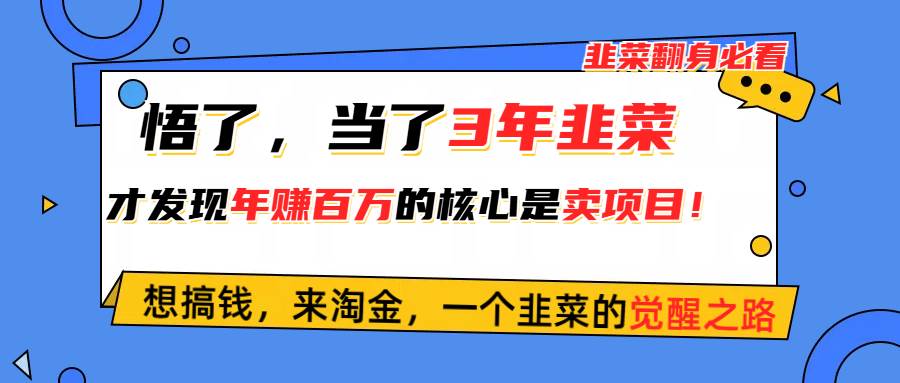 悟了，当了3年韭菜，才发现网赚圈年赚100万的核心是卖项目，含泪分享！创富副业网-网创项目资源站-副业项目-创业项目-搞钱项目创富副业网