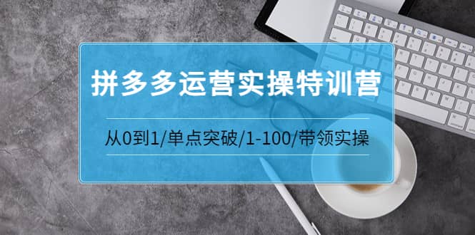 拼多多运营实操特训营：从0到1/单点突破/1-100/带领实操 价值2980元创富副业网-网创项目资源站-副业项目-创业项目-搞钱项目创富副业网