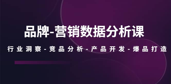 品牌-营销数据分析课，行业洞察-竞品分析-产品开发-爆品打造创富副业网-网创项目资源站-副业项目-创业项目-搞钱项目创富副业网