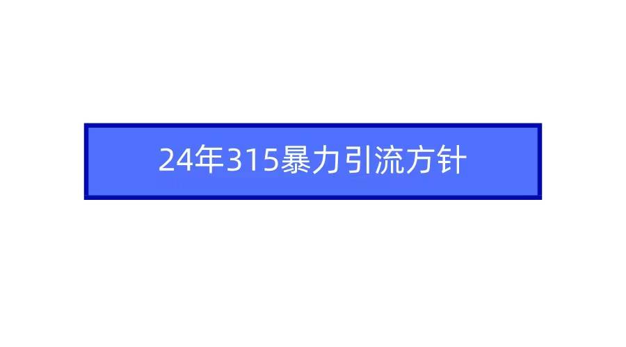2024年315暴力引流方针创富副业网-网创项目资源站-副业项目-创业项目-搞钱项目创富副业网