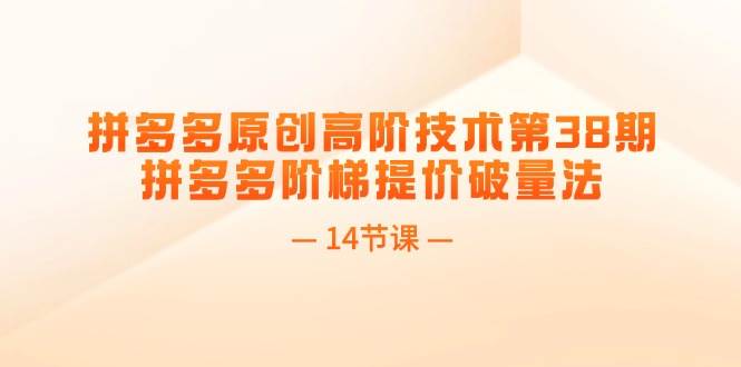 拼多多原创高阶技术第38期，拼多多阶梯提价破量法（14节课）创富副业网-网创项目资源站-副业项目-创业项目-搞钱项目创富副业网