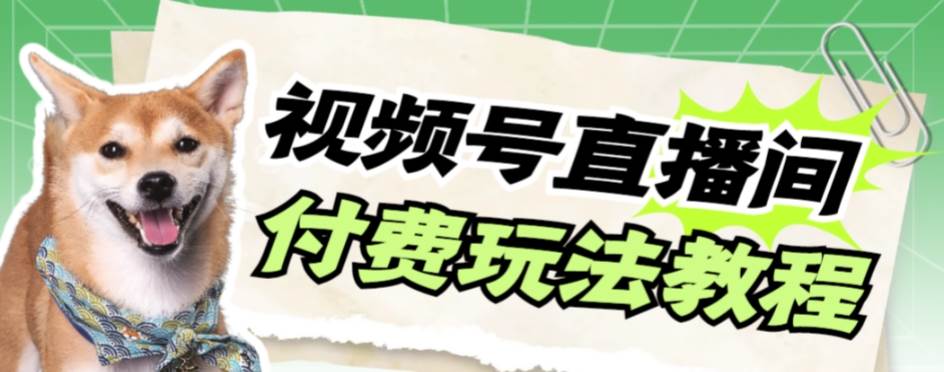 视频号美女付费无人直播，轻松日入500+【详细玩创富副业网-网创项目资源站-副业项目-创业项目-搞钱项目创富副业网