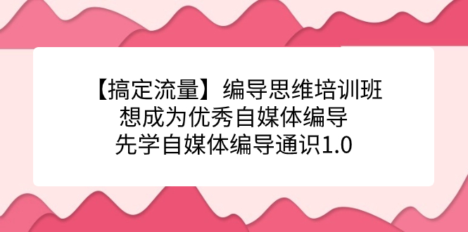 【搞定流量】编导思维培训班，想成为优秀自媒体编导先学自媒体编导通识1.0创富副业网-网创项目资源站-副业项目-创业项目-搞钱项目创富副业网