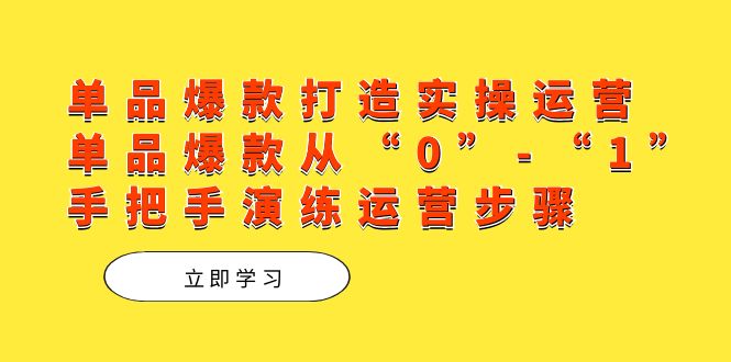 单品爆款打造实操运营，单品爆款从“0”-“1”手把手演练运营步骤创富副业网-网创项目资源站-副业项目-创业项目-搞钱项目创富副业网