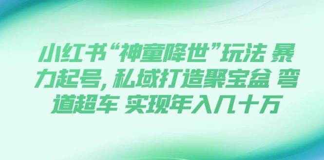 小红书“神童降世”玩法 暴力起号,私域打造聚宝盆 弯道超车 实现年入几十万创富副业网-网创项目资源站-副业项目-创业项目-搞钱项目创富副业网