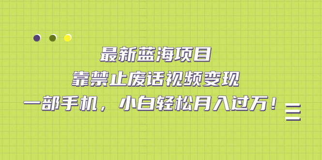 最新蓝海项目，靠禁止废话视频变现，一部手机，小白轻松月入过万！创富副业网-网创项目资源站-副业项目-创业项目-搞钱项目创富副业网