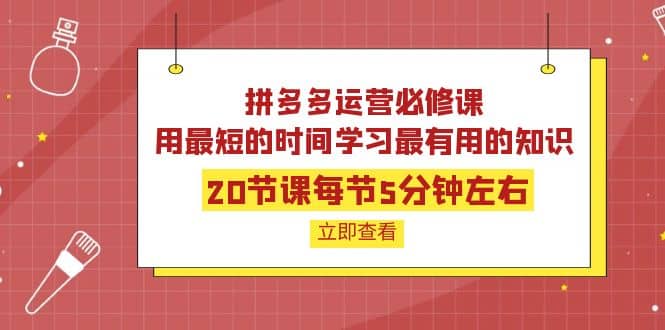 拼多多运营必修课：20节课每节5分钟左右，用最短的时间学习最有用的知识创富副业网-网创项目资源站-副业项目-创业项目-搞钱项目创富副业网