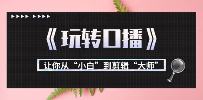 月营业额700万+大佬教您《玩转口播》让你从“小白”到剪辑“大师”创富副业网-网创项目资源站-副业项目-创业项目-搞钱项目创富副业网
