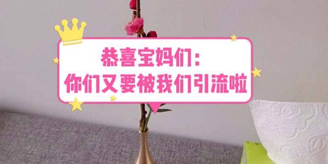 恭喜宝妈们：你们又要被我们引流了（教程+222g资料）创富副业网-网创项目资源站-副业项目-创业项目-搞钱项目创富副业网