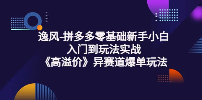 拼多多零基础新手小白入门到玩法实战《高溢价》异赛道爆单玩法实操课创富副业网-网创项目资源站-副业项目-创业项目-搞钱项目创富副业网