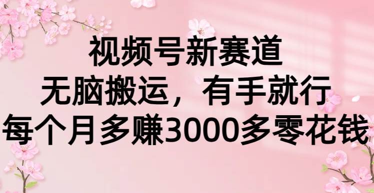 视频号新赛道，无脑搬运，有手就行，每个月多赚3000多零花钱创富副业网-网创项目资源站-副业项目-创业项目-搞钱项目创富副业网