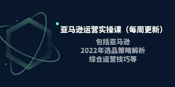 亚马逊运营实操课（每周更新）包括亚马逊2022选品策略解析，综合运营技巧等创富副业网-网创项目资源站-副业项目-创业项目-搞钱项目创富副业网