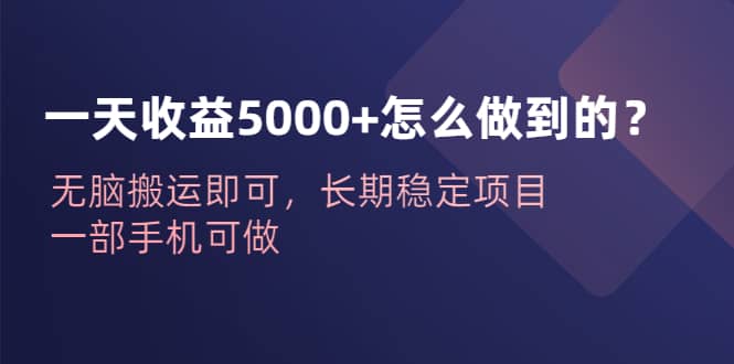 一天收益5000+怎么做到的？无脑搬运即可，长期稳定项目，一部手机可做创富副业网-网创项目资源站-副业项目-创业项目-搞钱项目创富副业网