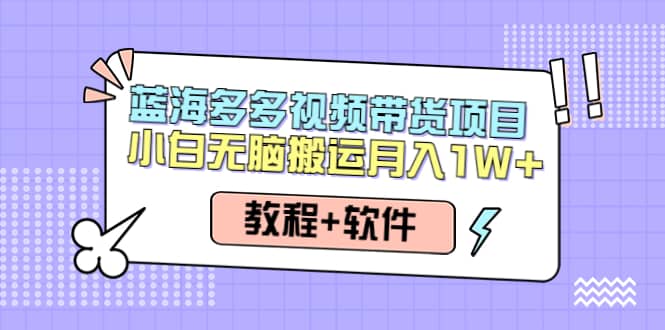 人人都能操作的蓝海多多视频带货项目 小白无脑搬运（教程+软件）创富副业网-网创项目资源站-副业项目-创业项目-搞钱项目创富副业网