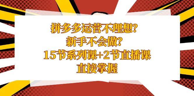 拼多多运营不理想？新手不会做？15节系列课+2节直播课，直接掌握创富副业网-网创项目资源站-副业项目-创业项目-搞钱项目创富副业网