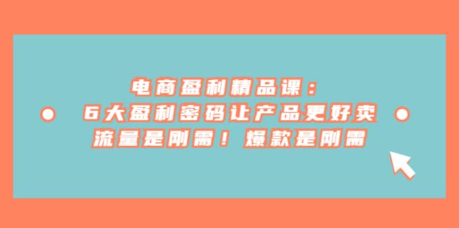 电商 盈利精品课：6大盈利 密码让产品更好卖，流量是刚需！爆款是刚需创富副业网-网创项目资源站-副业项目-创业项目-搞钱项目创富副业网