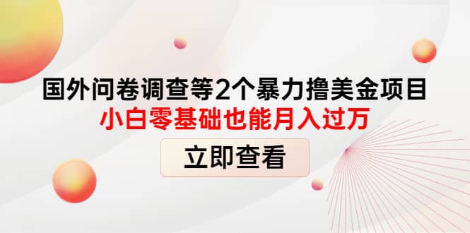 国外问卷调查等2个暴力撸美元项目，小白零基础也能月入过万创富副业网-网创项目资源站-副业项目-创业项目-搞钱项目创富副业网
