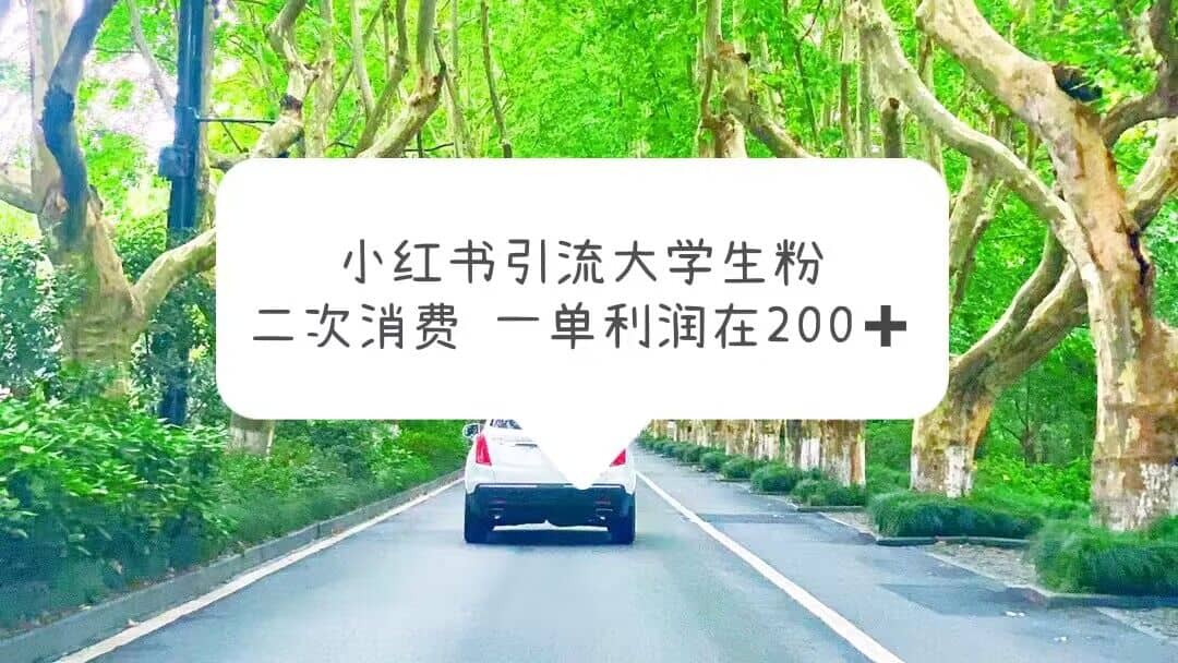 小红书引流大学生粉，变现项目，一单利润在200+（教程+资源）创富副业网-网创项目资源站-副业项目-创业项目-搞钱项目创富副业网