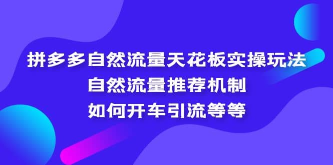 拼多多自然流量天花板实操玩法：自然流量推荐机制，如何开车引流等等创富副业网-网创项目资源站-副业项目-创业项目-搞钱项目创富副业网