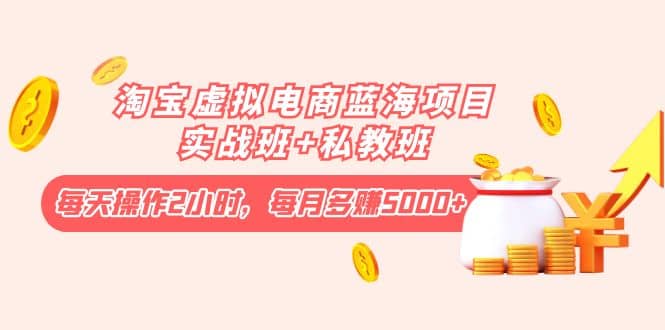 淘宝虚拟电商蓝海项目实战班+私教班创富副业网-网创项目资源站-副业项目-创业项目-搞钱项目创富副业网
