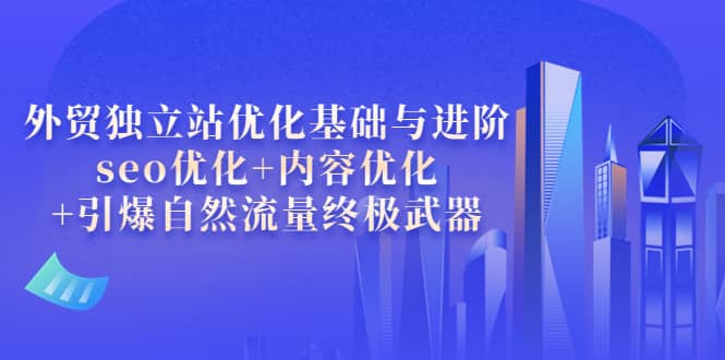 外贸独立站优化基础与进阶，seo优化+内容优化+引爆自然流量终极武器创富副业网-网创项目资源站-副业项目-创业项目-搞钱项目创富副业网