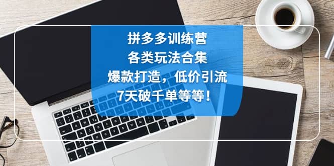 拼多多训练营：各玩法合集，爆款打造，低价引流，7天破千单等等创富副业网-网创项目资源站-副业项目-创业项目-搞钱项目创富副业网