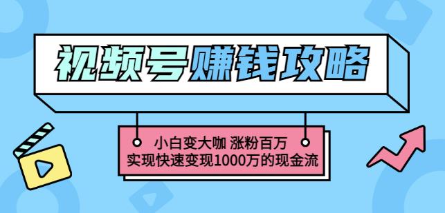 玩转微信视频号赚钱：小白变大咖涨粉百万实现快速变现1000万的现金流创富副业网-网创项目资源站-副业项目-创业项目-搞钱项目创富副业网