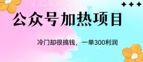 冷门公众号加热项目，一单利润300+创富副业网-网创项目资源站-副业项目-创业项目-搞钱项目创富副业网