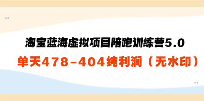 淘宝蓝海虚拟项目陪跑训练营5.0：单天478纯利润（无水印）创富副业网-网创项目资源站-副业项目-创业项目-搞钱项目创富副业网