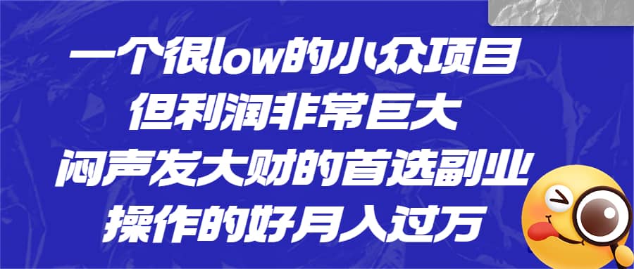 一个很low的小众项目，但利润非常巨大，闷声发大财的首选副业，月入过万创富副业网-网创项目资源站-副业项目-创业项目-搞钱项目创富副业网