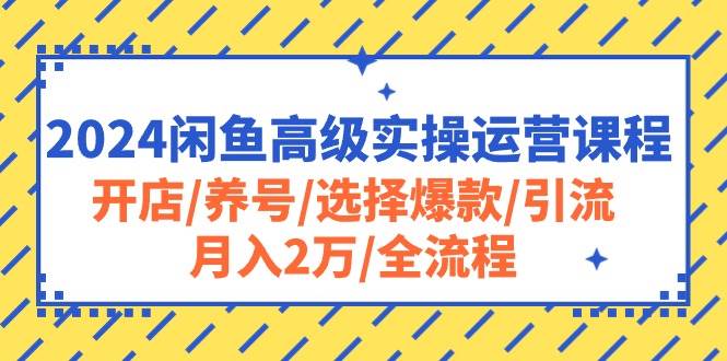 2024闲鱼高级实操运营课程：开店/养号/选择爆款/引流/月入2万/全流程创富副业网-网创项目资源站-副业项目-创业项目-搞钱项目创富副业网
