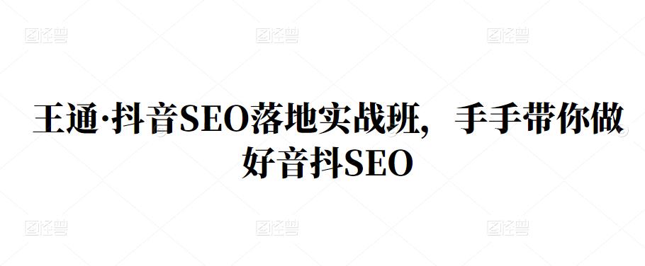 王通·抖音SEO落地实战班，手‬手带你做好音抖‬‬SEO创富副业网-网创项目资源站-副业项目-创业项目-搞钱项目创富副业网