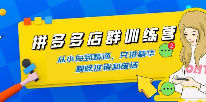 拼多多店群训练营：从小白到精通，只讲精华，剔除推销和废话创富副业网-网创项目资源站-副业项目-创业项目-搞钱项目创富副业网
