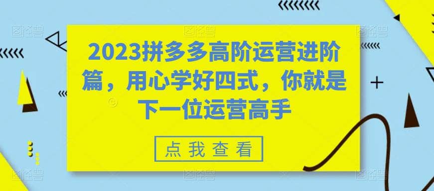 2023拼多多高阶运营进阶篇，用心学好四式，你就是下一位运营高手创富副业网-网创项目资源站-副业项目-创业项目-搞钱项目创富副业网