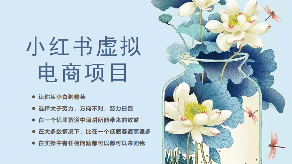 小红书虚拟电商从0到1，让你从小白到精英（20节实操课程）创富副业网-网创项目资源站-副业项目-创业项目-搞钱项目创富副业网
