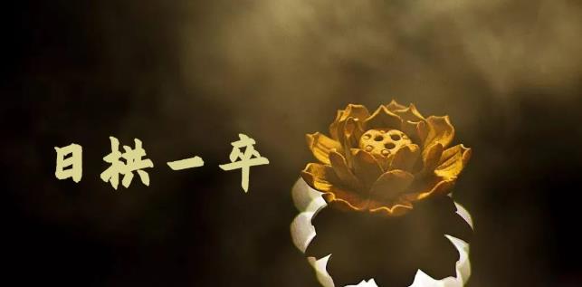 无脑搬砖，普通人可以复制的副业赚钱项目(附软件)创富副业网-网创项目资源站-副业项目-创业项目-搞钱项目创富副业网