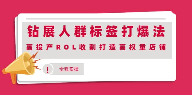 钻展人群标签打爆法，高投产ROL收割打造高权重店铺(全程实操)创富副业网-网创项目资源站-副业项目-创业项目-搞钱项目创富副业网