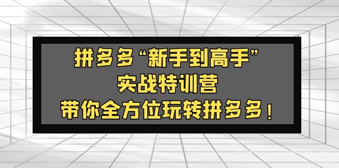 拼多多“新手到高手”实战特训营：带你全方位玩转拼多多创富副业网-网创项目资源站-副业项目-创业项目-搞钱项目创富副业网