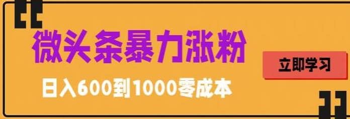 微头条暴力涨粉技巧搬运文案就能涨几万粉丝，简单0成本，日赚600创富副业网-网创项目资源站-副业项目-创业项目-搞钱项目创富副业网
