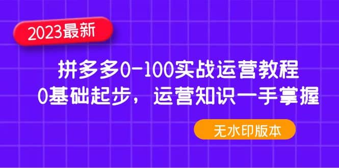 2023拼多多0-100实战运营教程，0基础起步，运营知识一手掌握（无水印）创富副业网-网创项目资源站-副业项目-创业项目-搞钱项目创富副业网