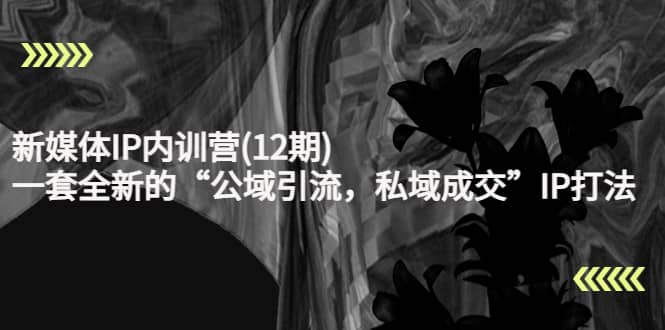 新媒体IP内训营(12期)，一套全新的“公域引流，私域成交”IP打法，直接带走创富副业网-网创项目资源站-副业项目-创业项目-搞钱项目创富副业网
