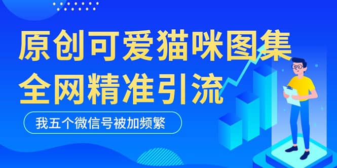 黑科技纯原创可爱猫咪图片，全网精准引流，实操5个VX号被加频繁创富副业网-网创项目资源站-副业项目-创业项目-搞钱项目创富副业网