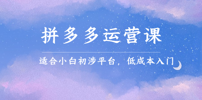 拼多多运营课，适合小白初涉平台，低成本入门创富副业网-网创项目资源站-副业项目-创业项目-搞钱项目创富副业网