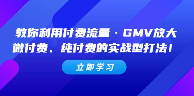 教你利用付费流量·GMV放大，微付费、纯付费的实战型打法创富副业网-网创项目资源站-副业项目-创业项目-搞钱项目创富副业网
