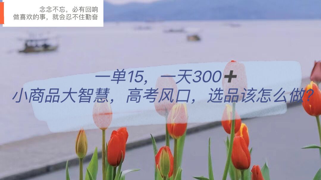 一单15，一天300+，小商品大智慧，高考风口，选品该怎么布局创富副业网-网创项目资源站-副业项目-创业项目-搞钱项目创富副业网