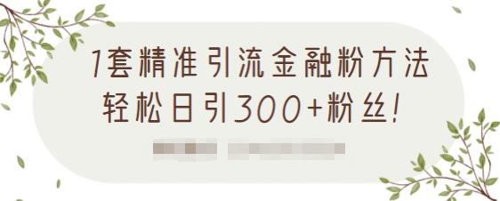 1套精准引流金融粉方法，轻松日引300+粉丝【视频课程】创富副业网-网创项目资源站-副业项目-创业项目-搞钱项目创富副业网