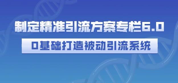 制定精准引流方案专栏6.0，0基础打造被动引流系统创富副业网-网创项目资源站-副业项目-创业项目-搞钱项目创富副业网