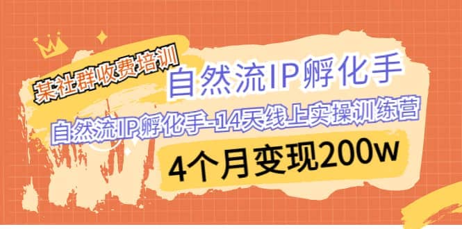 某社群收费培训：自然流IP 孵化手-14天线上实操训练营 4个月变现200w创富副业网-网创项目资源站-副业项目-创业项目-搞钱项目创富副业网