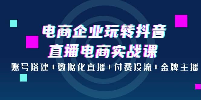 电商企业玩转抖音直播电商实战课：账号搭建+数据化直播+付费投流+金牌主播创富副业网-网创项目资源站-副业项目-创业项目-搞钱项目创富副业网